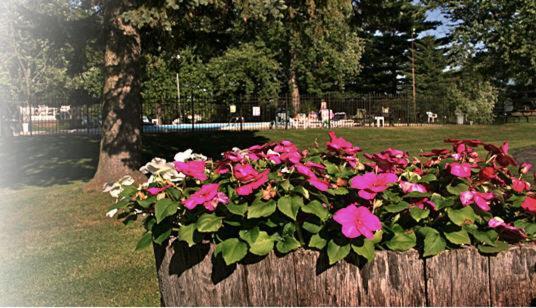 The Wesley Inn Motel Lake Geneva Kültér fotó